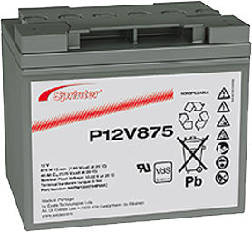 P12V875