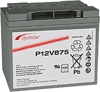 P12V875